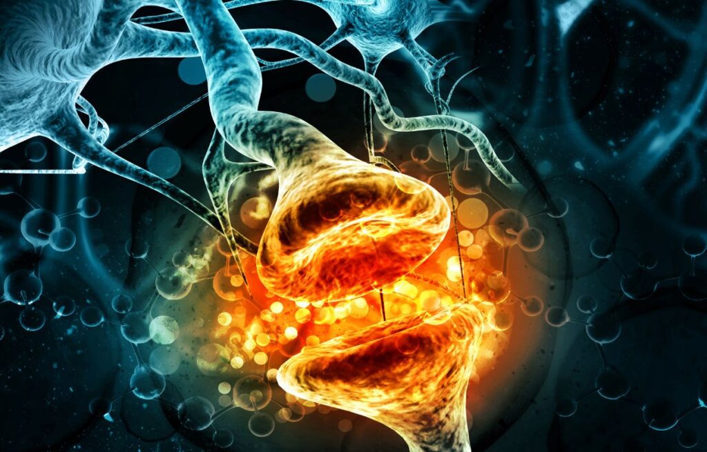 Hormone Therapy