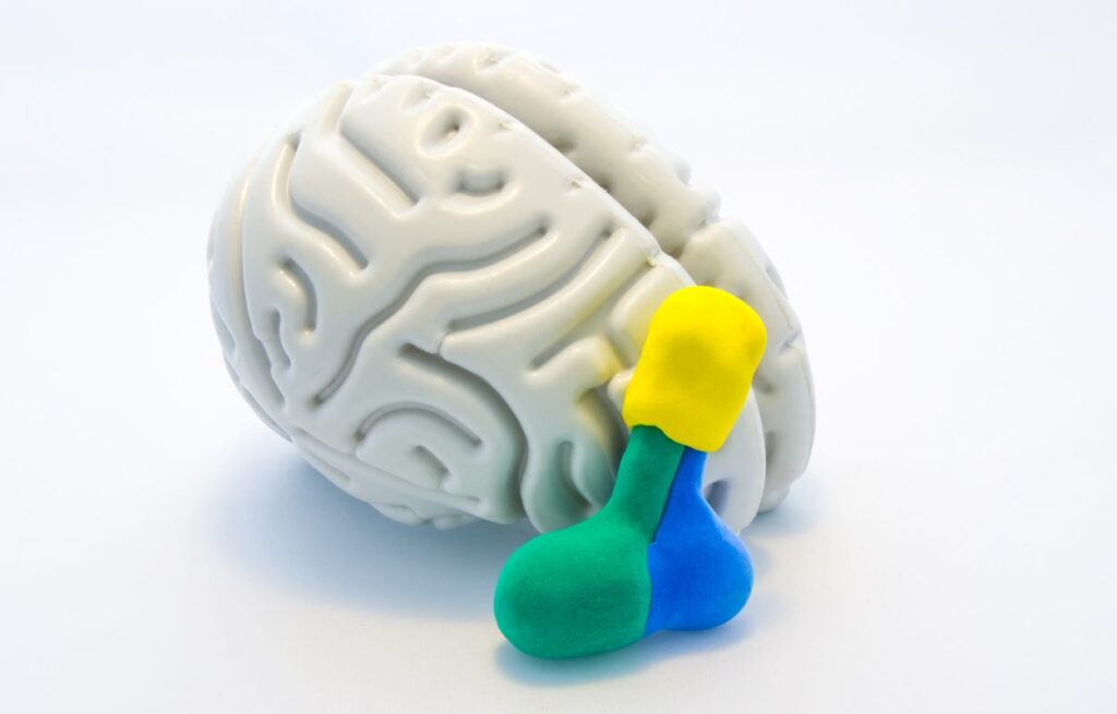Pituitary Adenoma